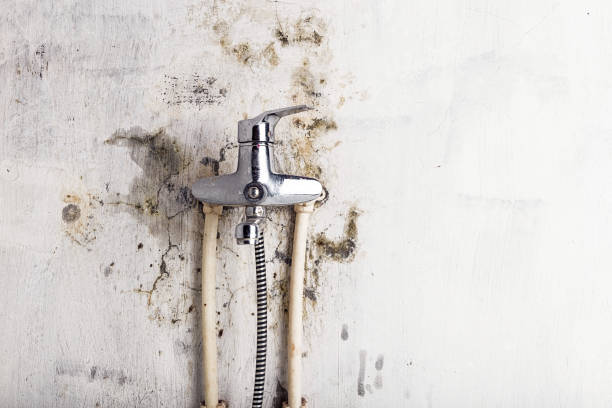 Certified Mold Removal in St Martin, MS
