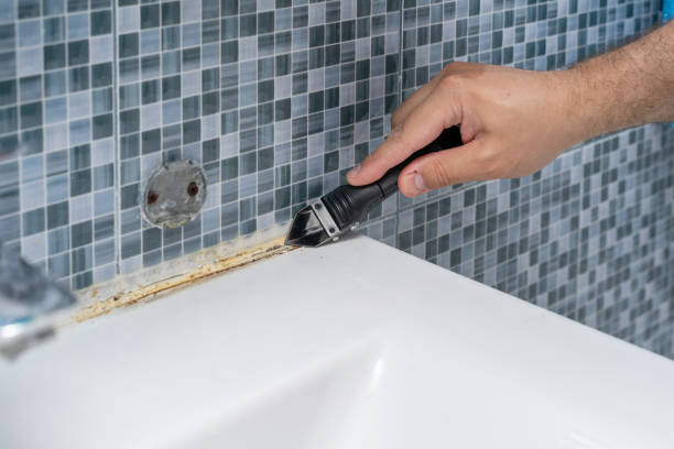 Mold Testing and Removal in St Martin, MS